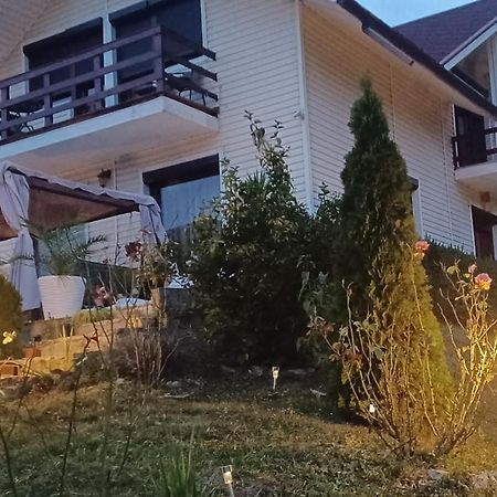 Piatra NeamţCasa Irina别墅 外观 照片