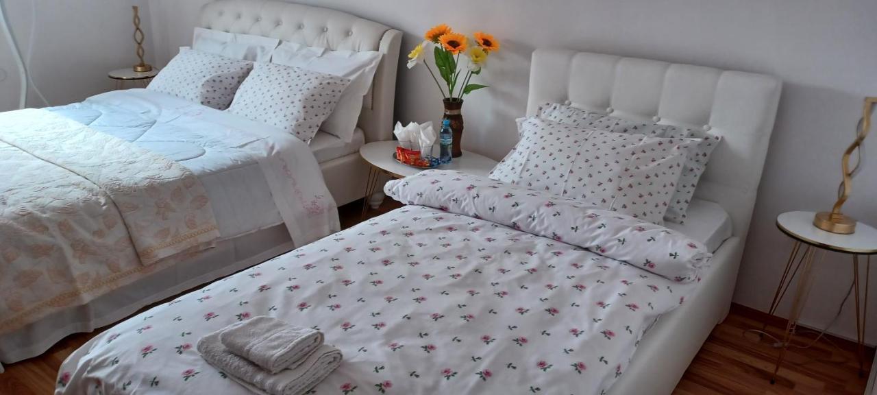 Piatra NeamţCasa Irina别墅 外观 照片