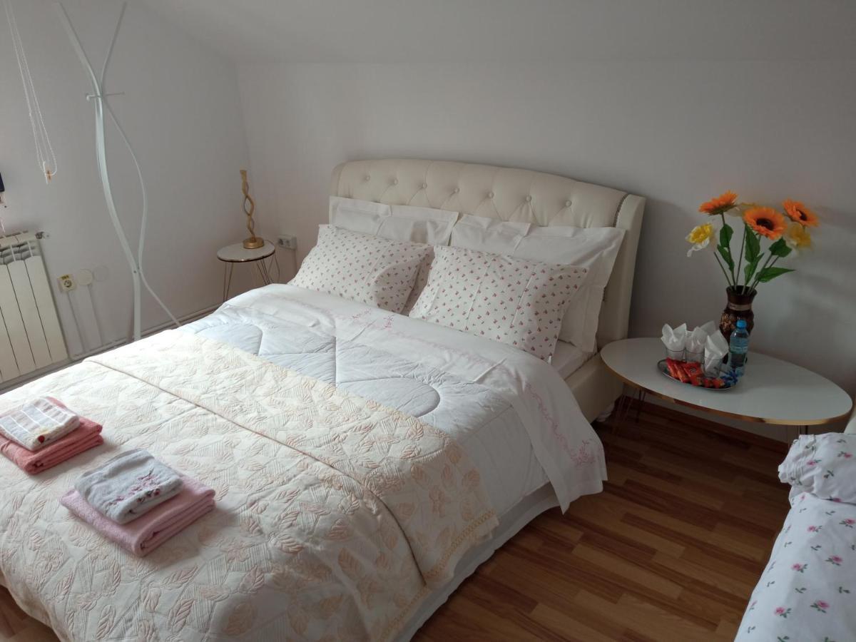 Piatra NeamţCasa Irina别墅 外观 照片