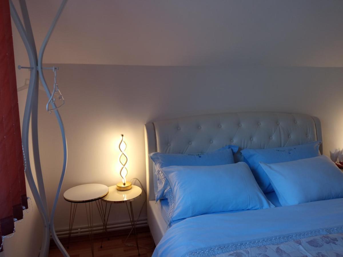 Piatra NeamţCasa Irina别墅 外观 照片