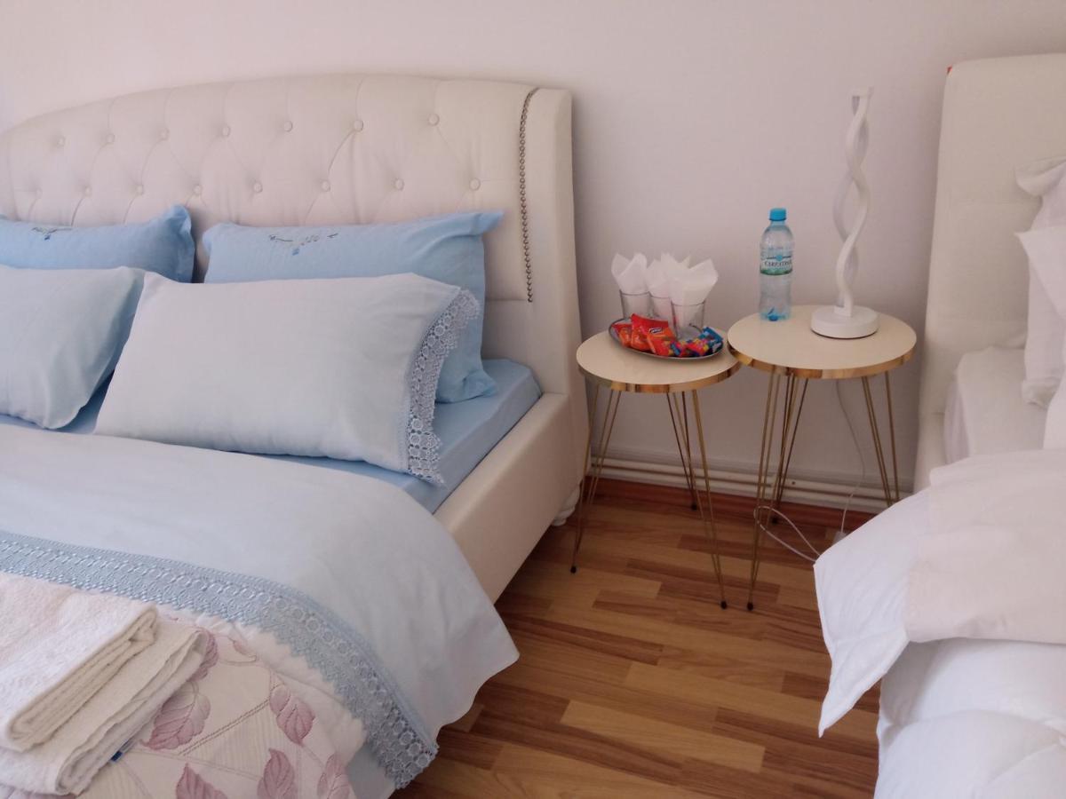 Piatra NeamţCasa Irina别墅 外观 照片