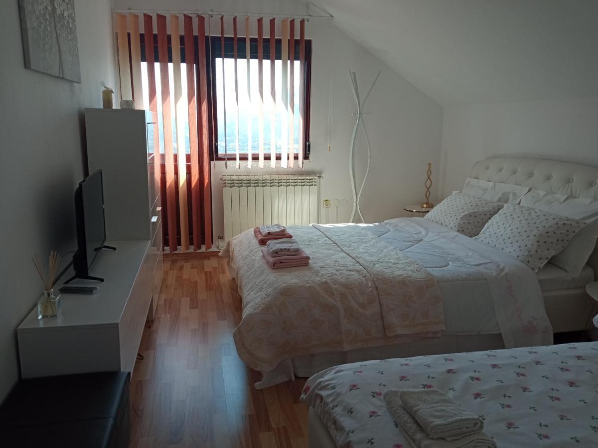 Piatra NeamţCasa Irina别墅 外观 照片