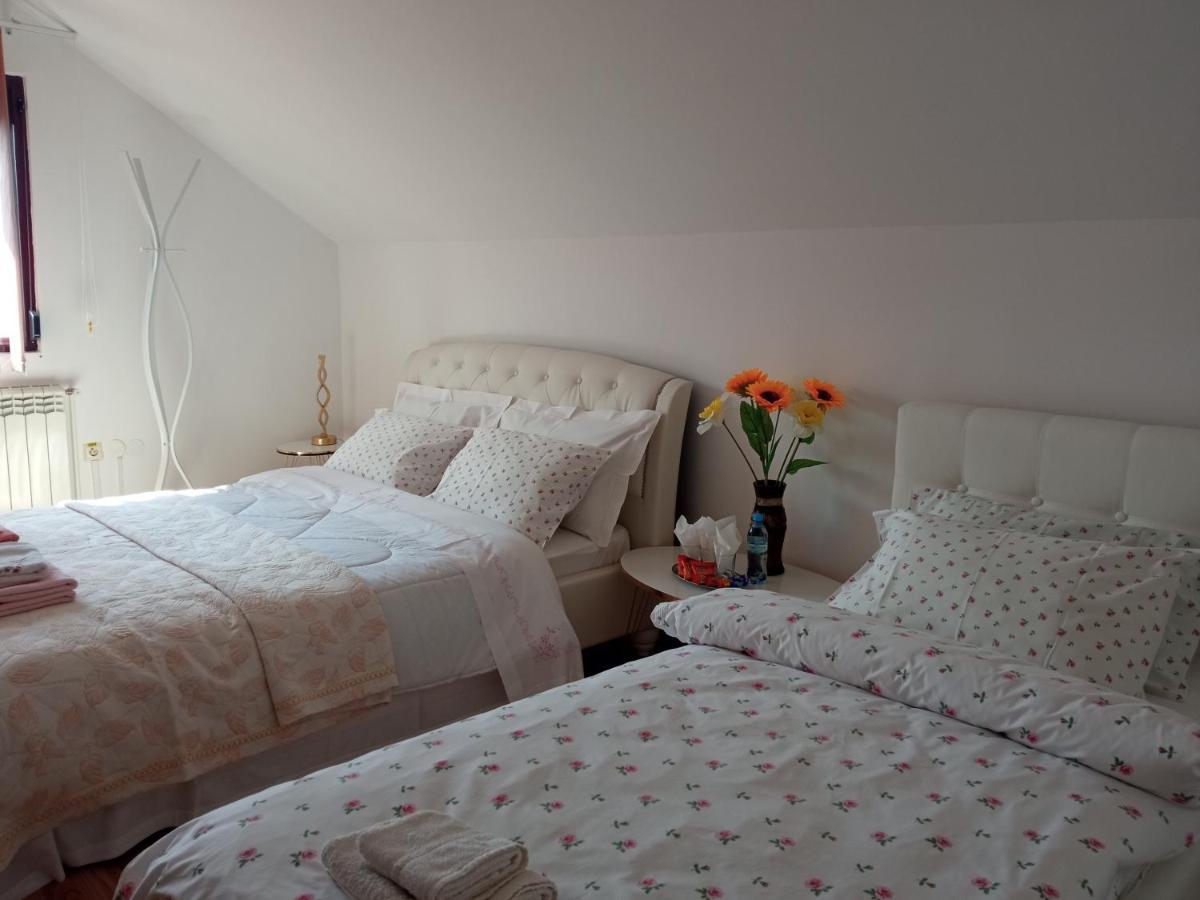 Piatra NeamţCasa Irina别墅 外观 照片