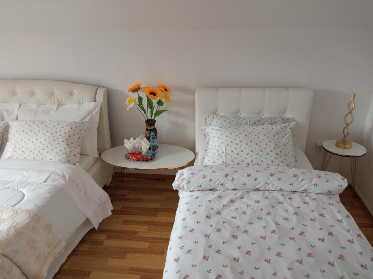 Piatra NeamţCasa Irina别墅 外观 照片