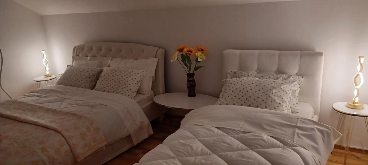 Piatra NeamţCasa Irina别墅 外观 照片