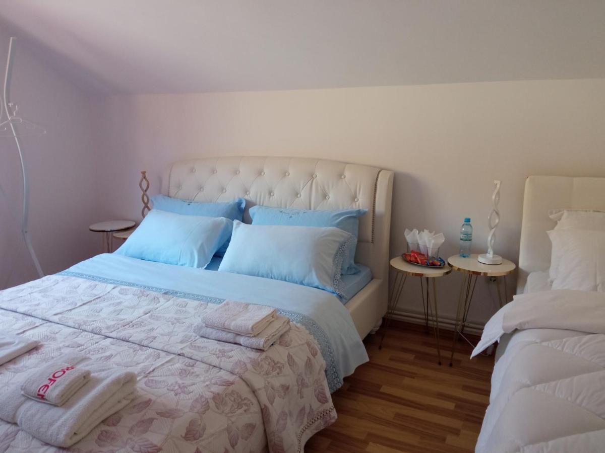 Piatra NeamţCasa Irina别墅 外观 照片
