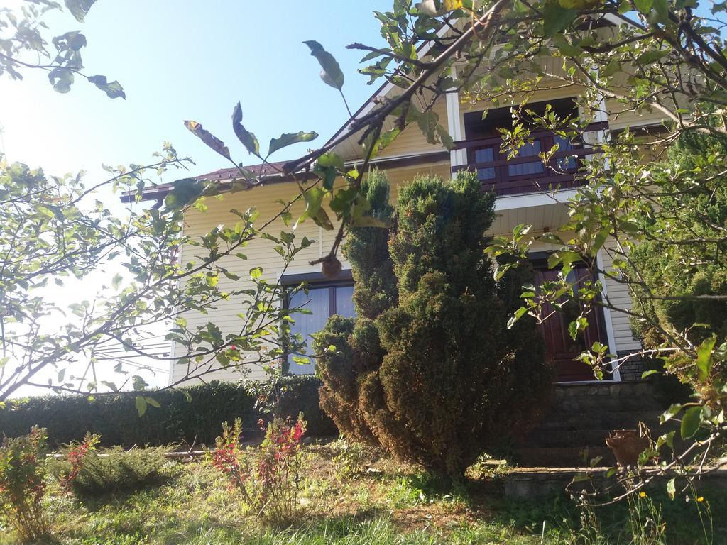 Piatra NeamţCasa Irina别墅 外观 照片