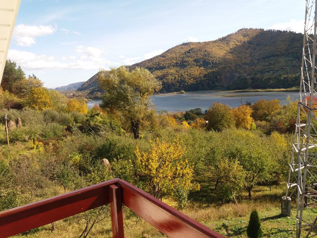 Piatra NeamţCasa Irina别墅 外观 照片