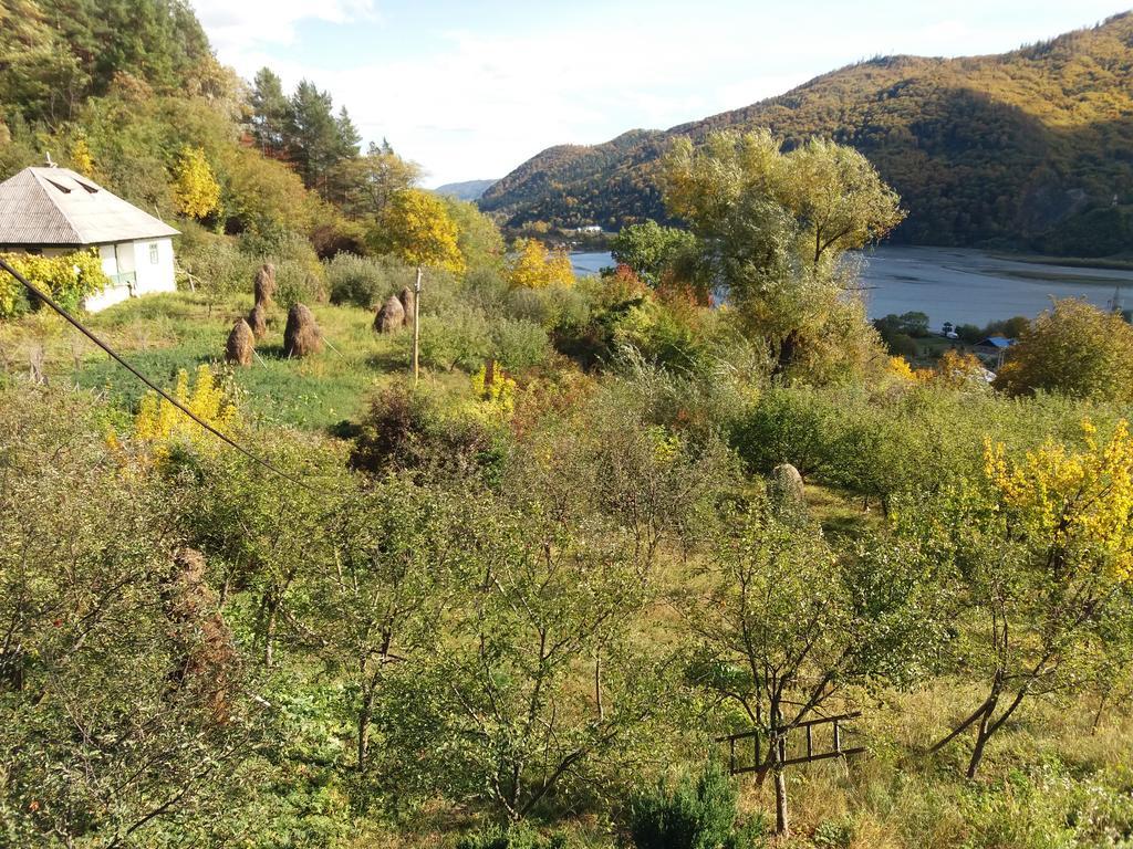 Piatra NeamţCasa Irina别墅 外观 照片