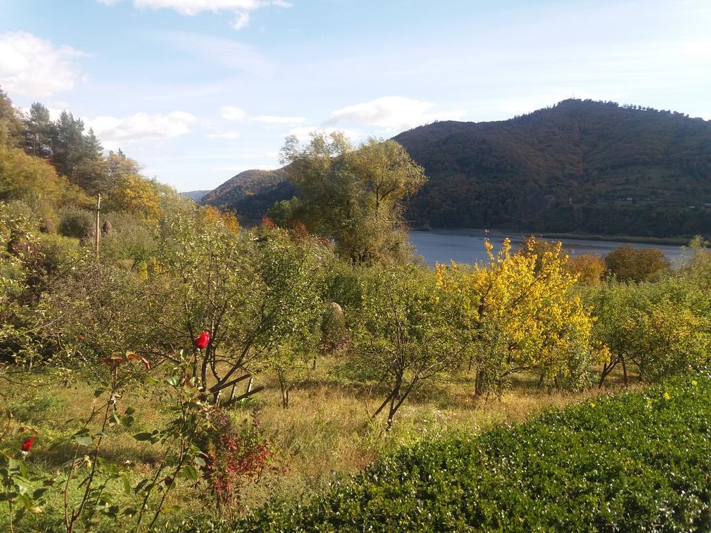 Piatra NeamţCasa Irina别墅 外观 照片