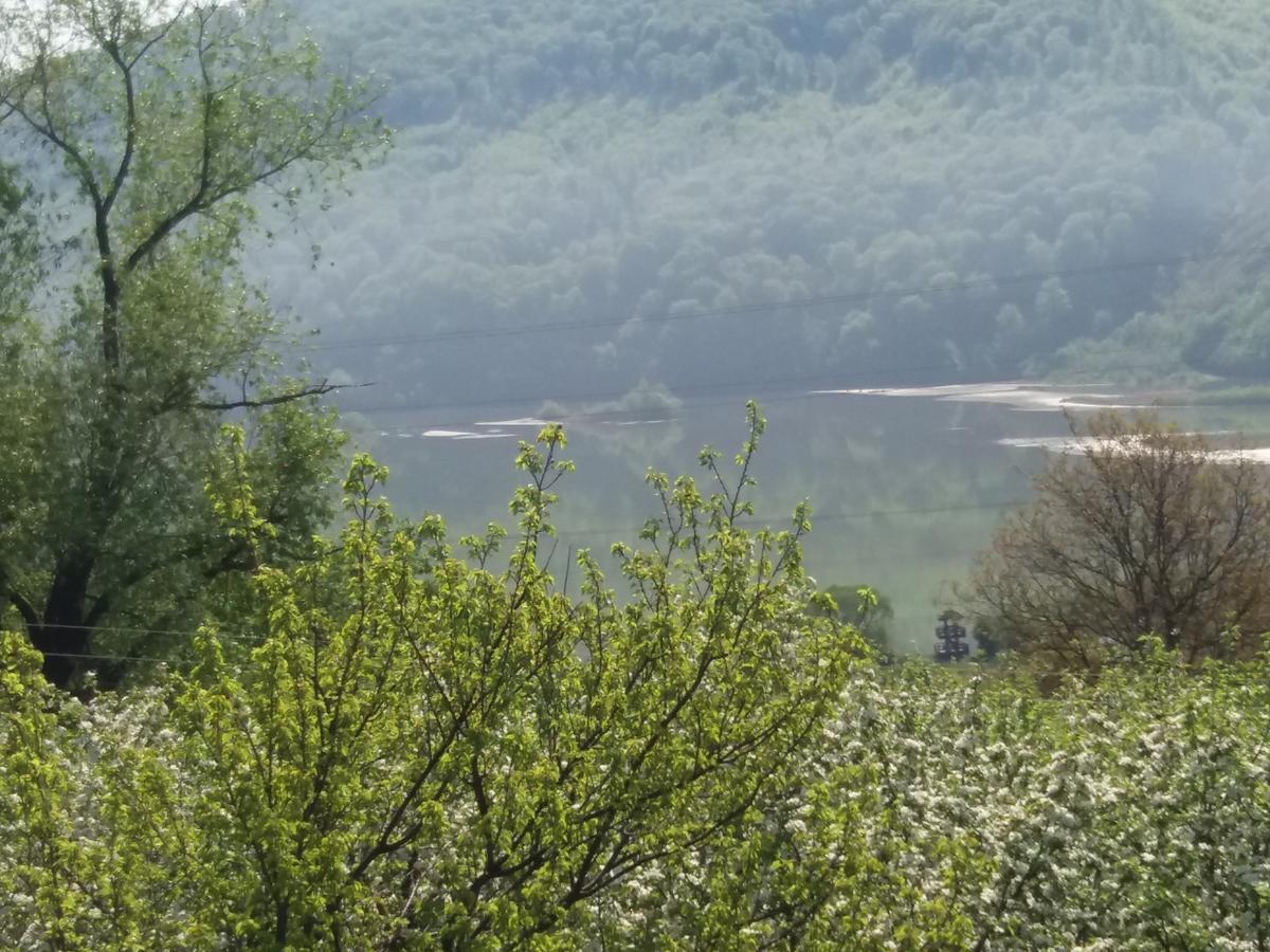 Piatra NeamţCasa Irina别墅 外观 照片